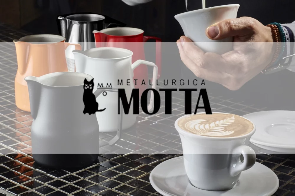 Read more about the article MOTTA